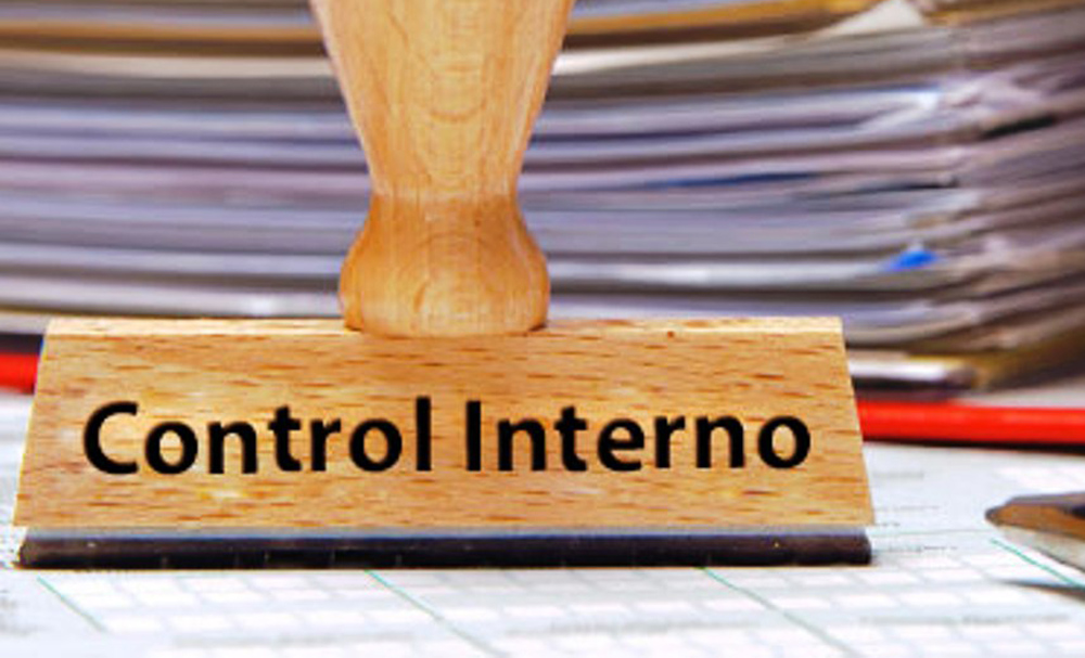 control interno empresa