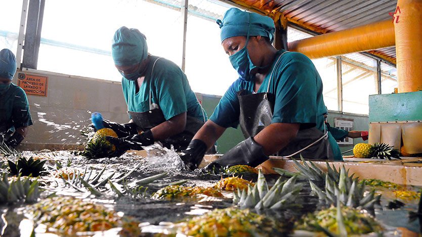 agroindustrial ceballos