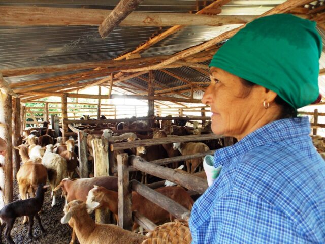 mujeres empoderamiento4 e1686338021897