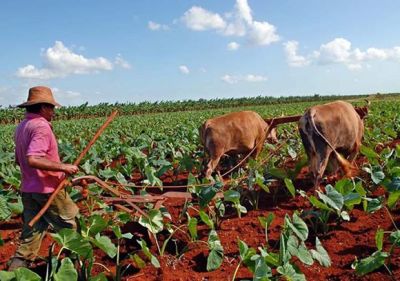 115733 congreso de la anap con la mirada puesta en aumentar la produccion alimentaria