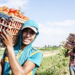 La situación de los jóvenes en los sistemas agroalimentarios: